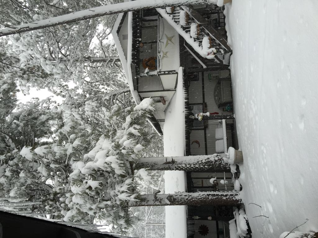 Mountain Haven Inn パイントップ・レイクサイド 部屋 写真